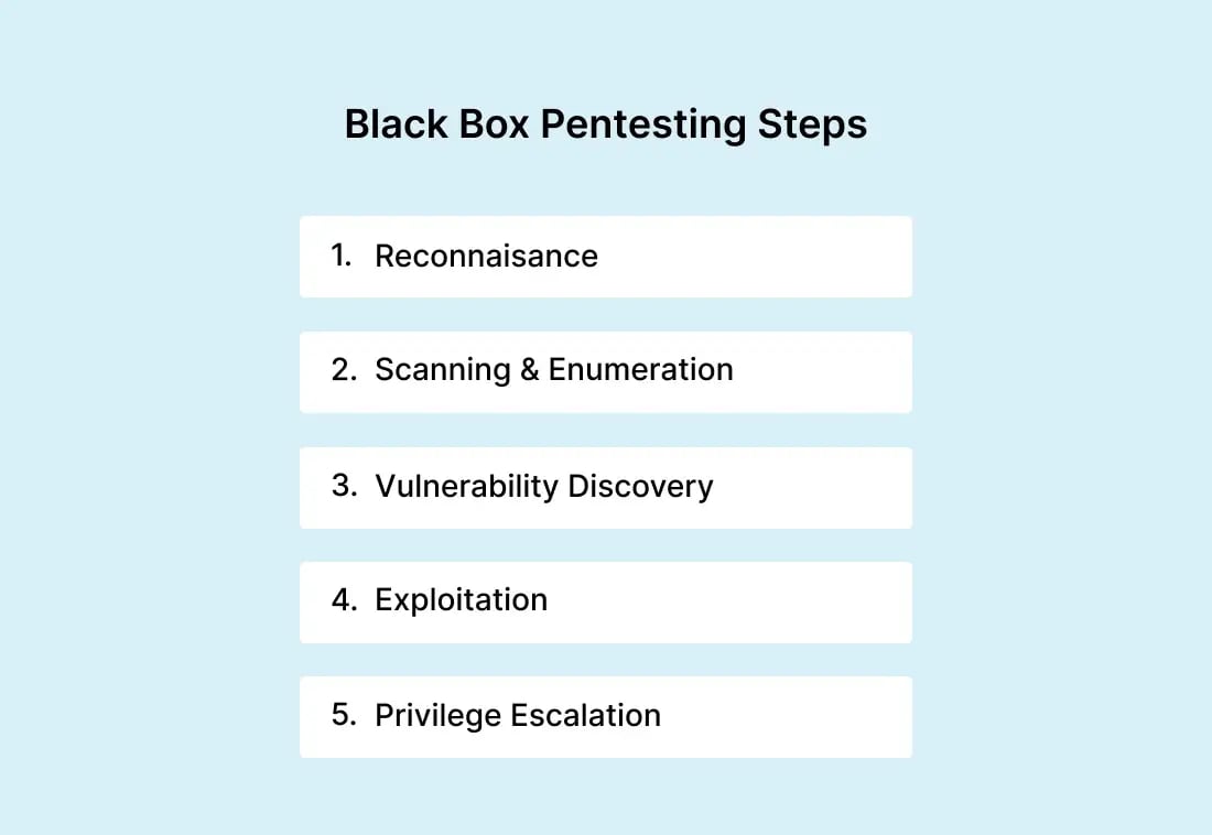 black-box-pentest-steps